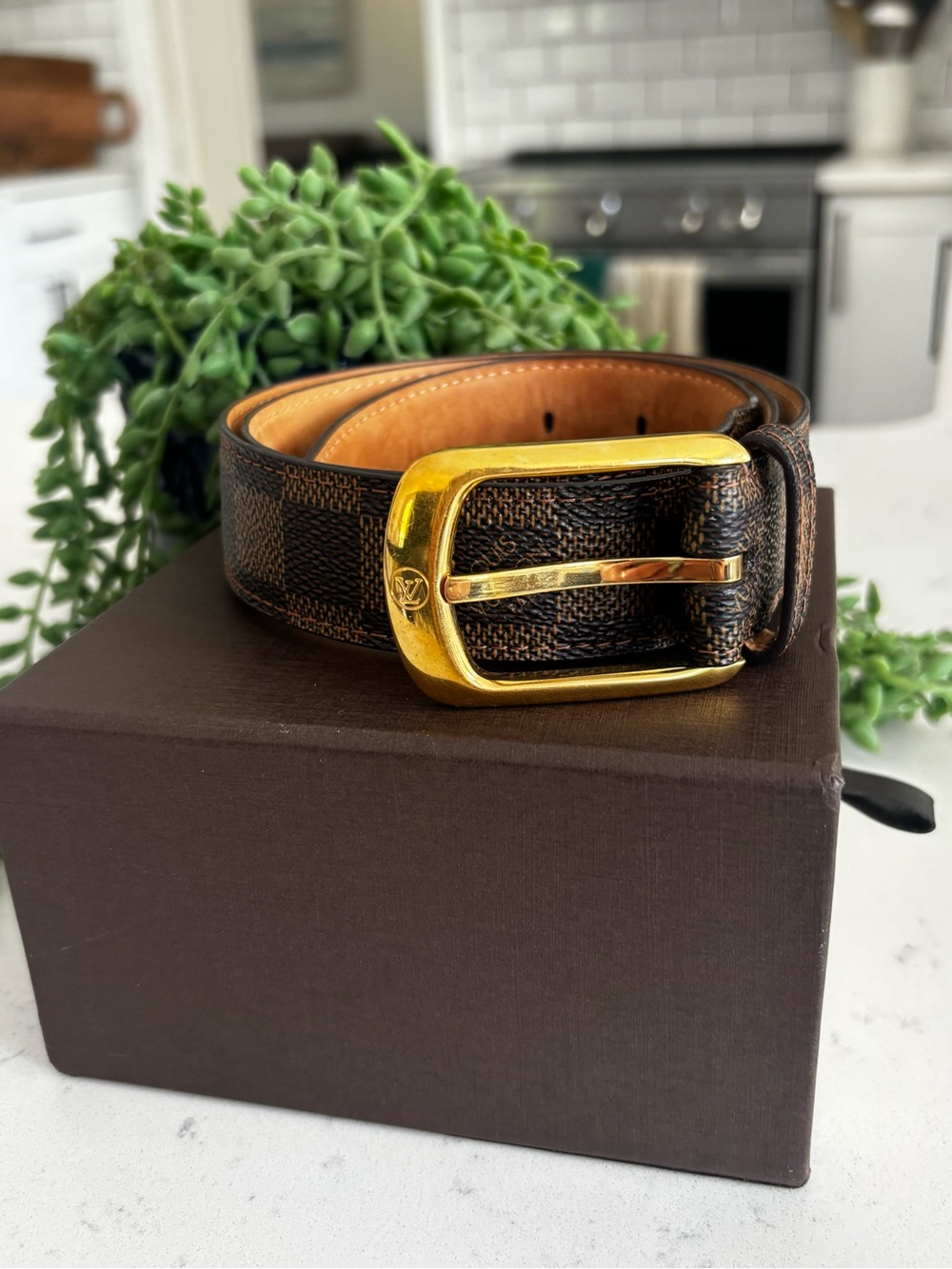 Louis Vuitton Brown Damier Canvas woman’s Belt with Gold Buckle